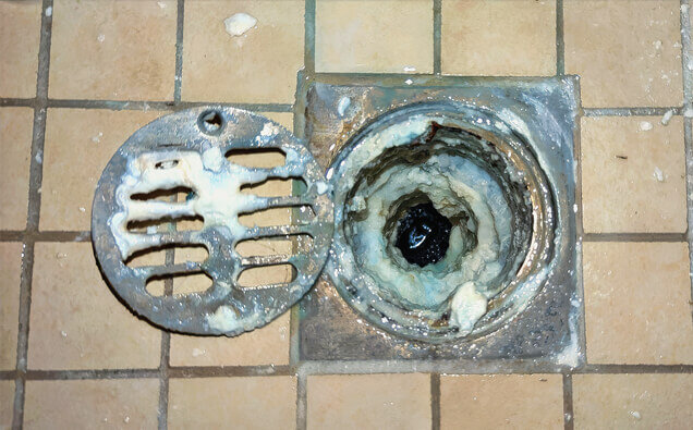 https://blockeddrainscanningvale.com.au/uploads/2025/07/blocked-shower-drains-33151.jpg