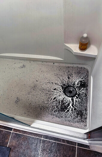 https://blockeddrainscanningvale.com.au/uploads/2025/07/blocked-shower-drains-83587.jpg