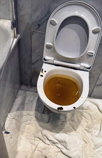 https://blockeddrainscanningvale.com.au/uploads/2025/07/blocked-toilet-27793.jpg