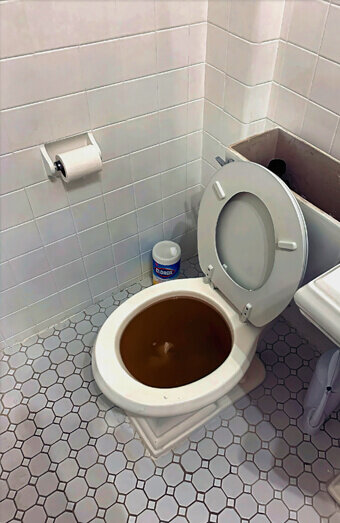 https://blockeddrainscanningvale.com.au/uploads/2025/07/blocked-toilet-42230.jpg