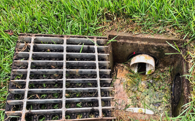 https://blockeddrainscanningvale.com.au/uploads/2025/07/hero-blocked-sewers-40191.jpg